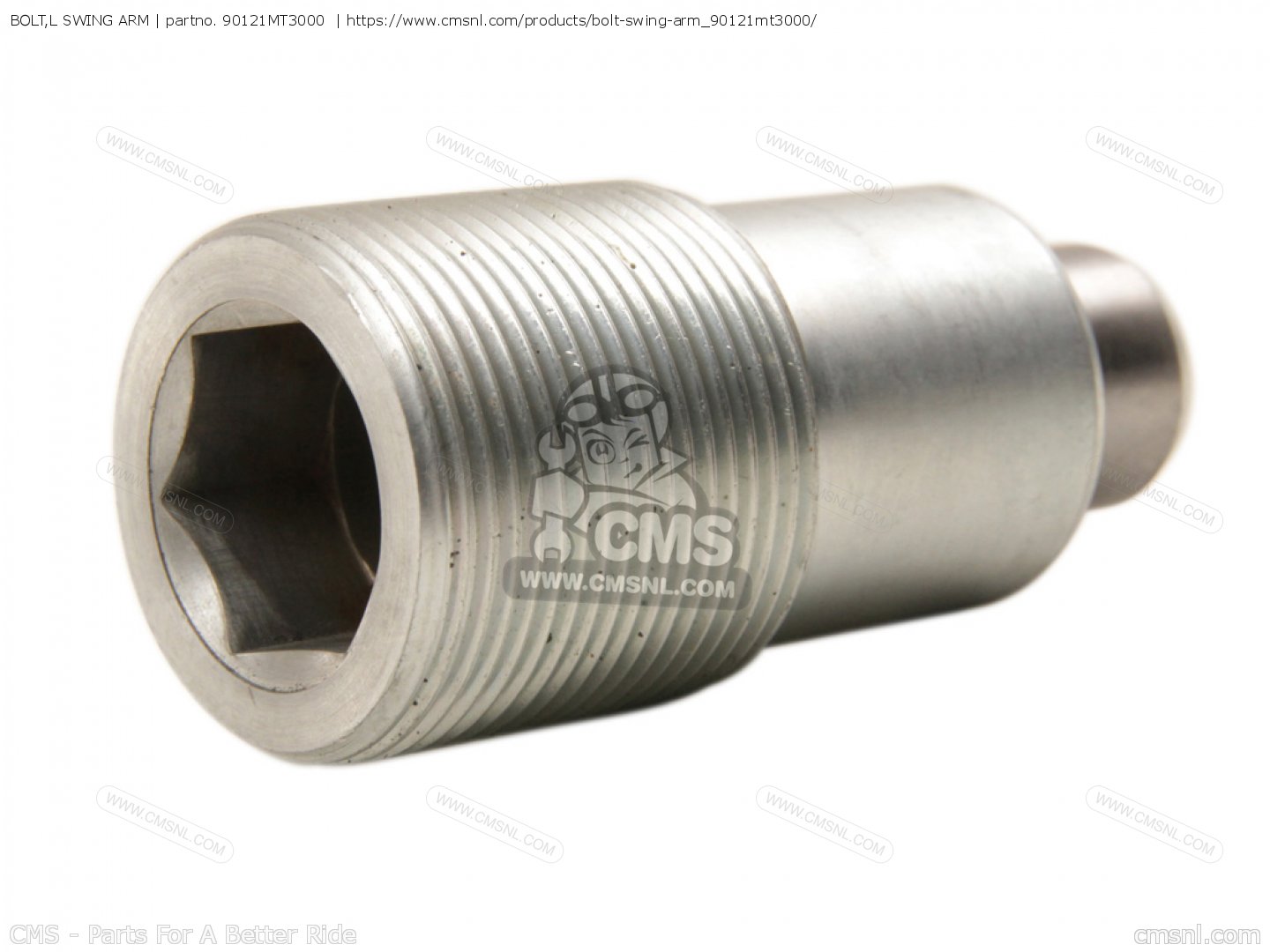 BOLT,L SWING ARM for ST1100 PANEUROPEAN 1997 (V) AUSTRIA order at CMSNL