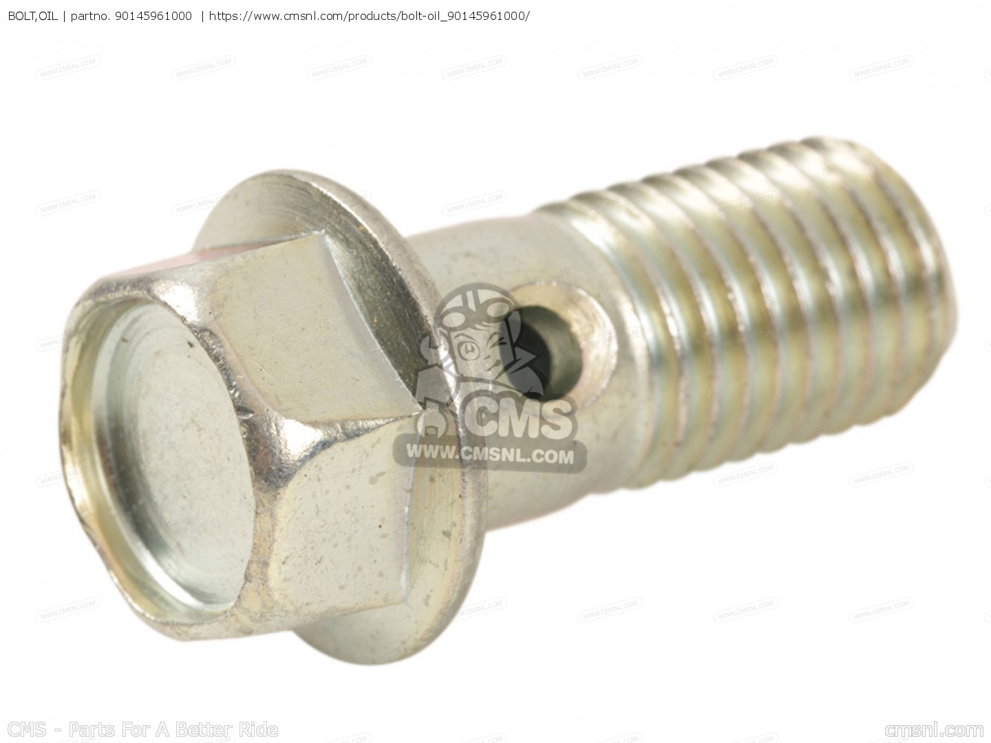 BOLT,OIL for GL1200I GOLDWING INTERSTATE 1984 (E) order at CMSNL