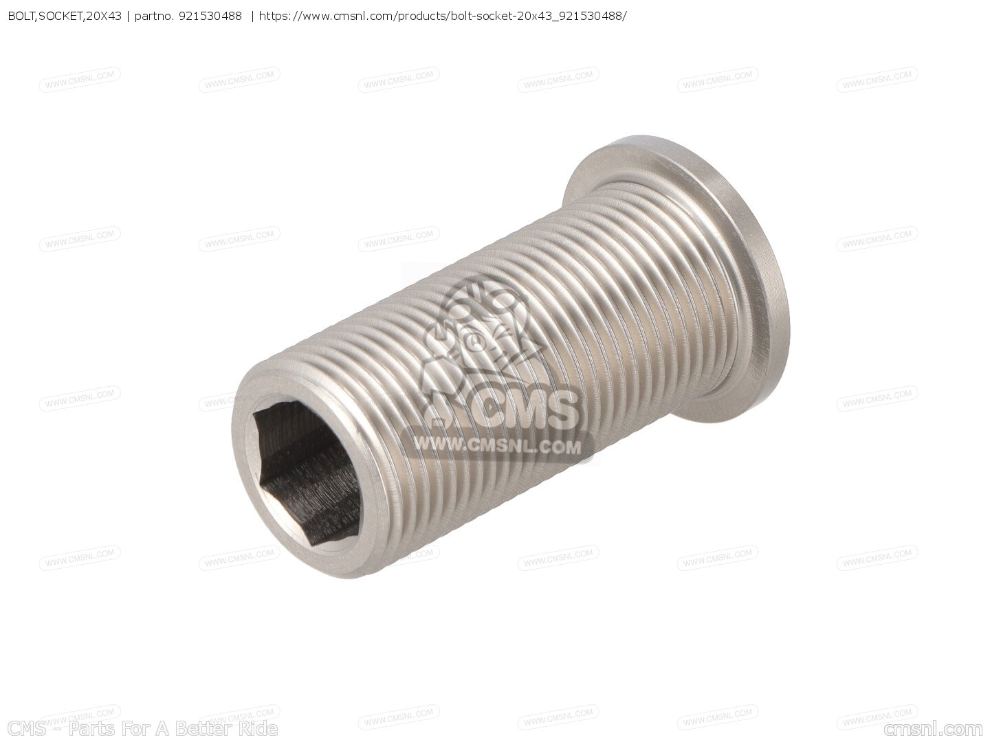 BOLT,SOCKET,20X43 for ZX1000E9FA NINJA ZX10R 2009 USA - order at CMSNL