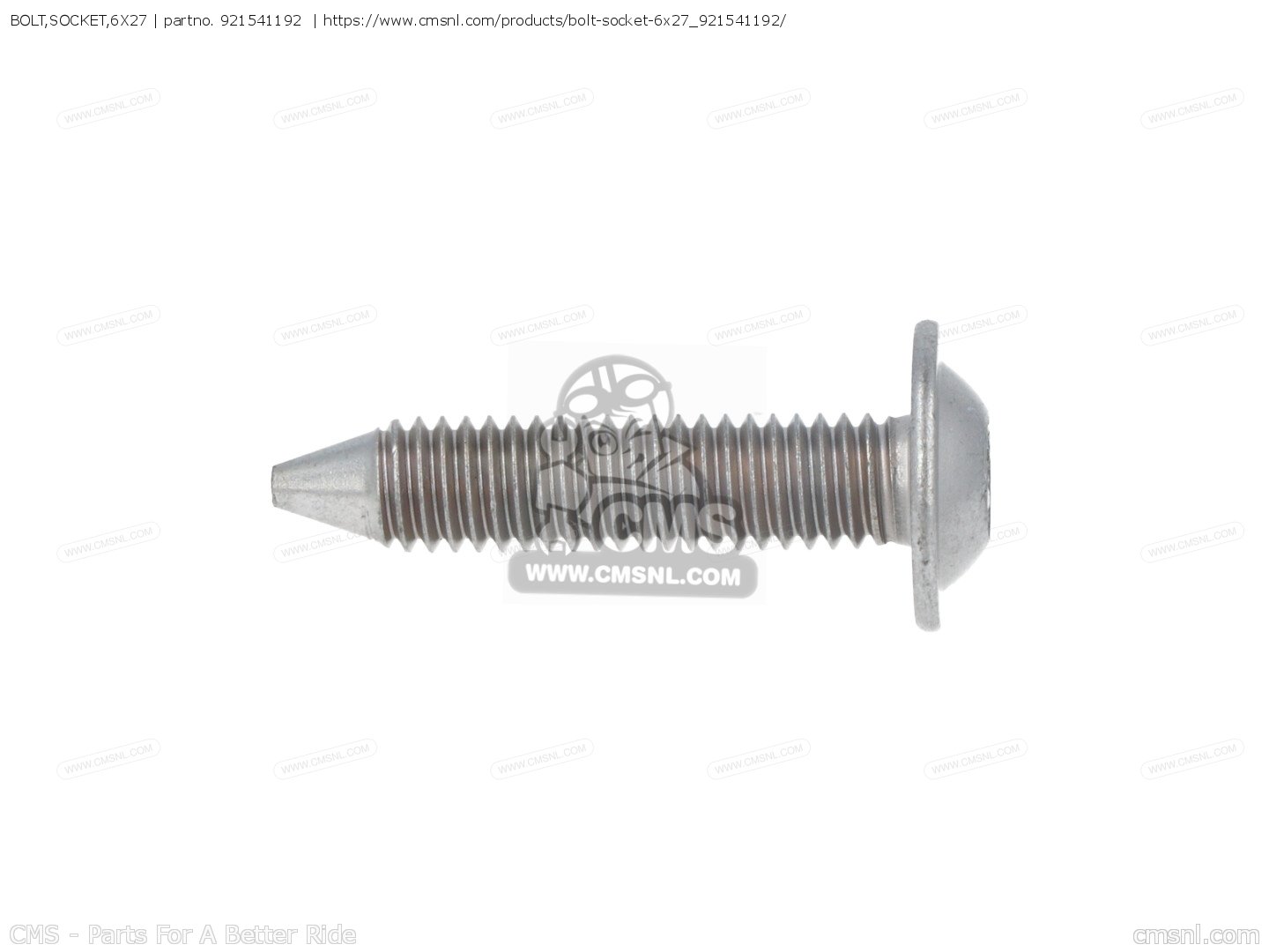 Amazon.com: Lirun 8200255423/8200049622 Engine Oil Dipstick