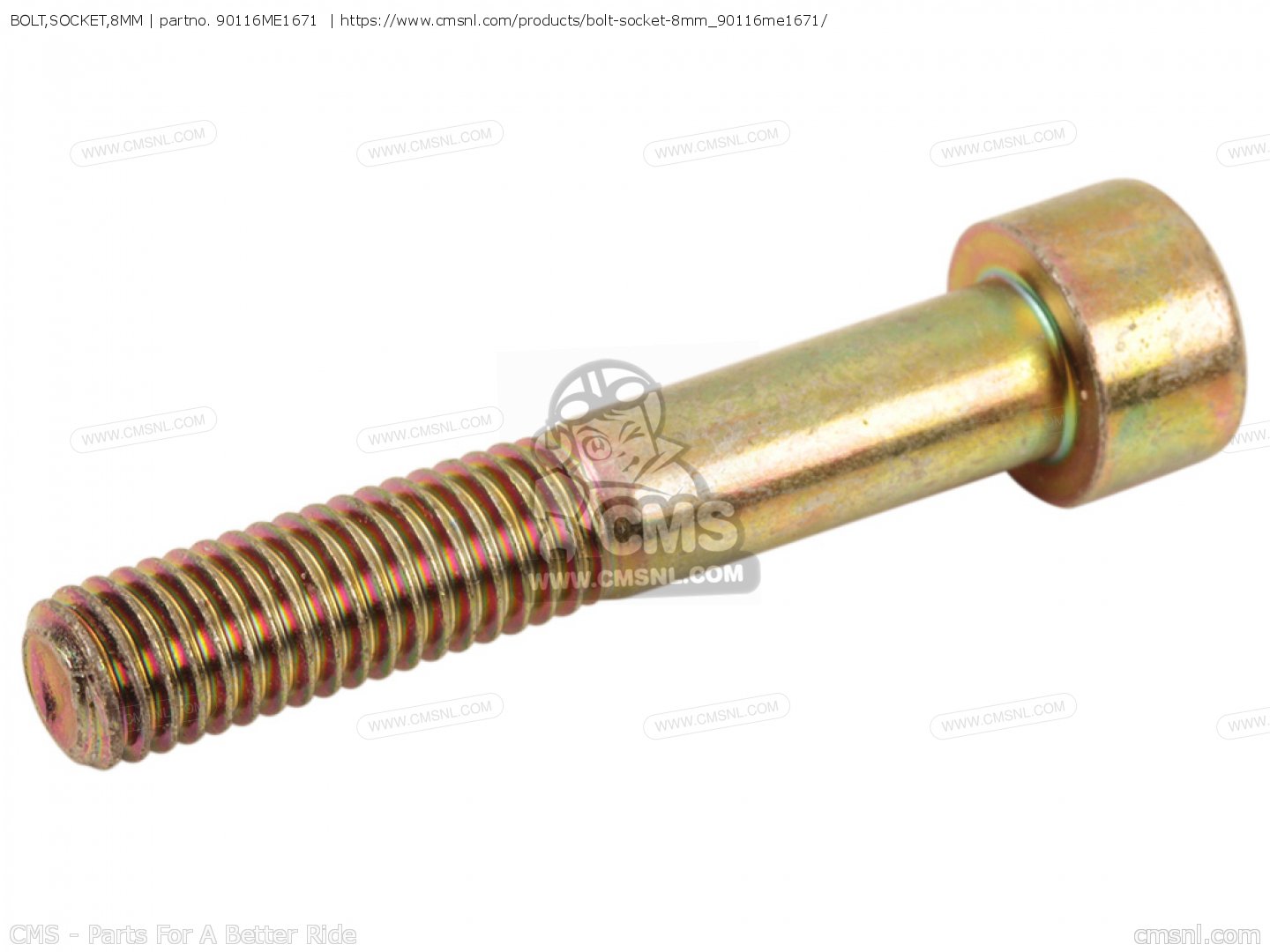 BOLT,SOCKET,8MM for VF1100C MAGNA 1983 (D) USA order at CMSNL