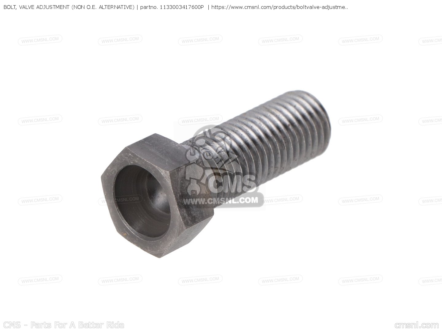1133003417600P Bolt, Valve Adjustment (non O.e. Alternative