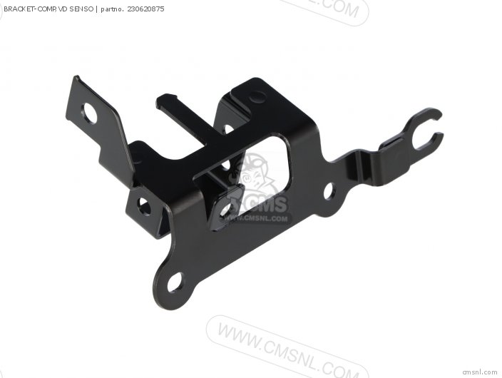 Kawasaki BRACKET-COMP,VD SENSO 230620875