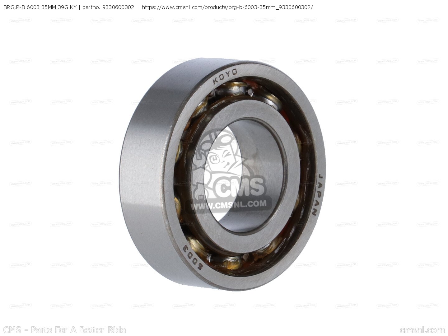 BRG,R-B 6003 35MM 39G KY for Yamaha - order at CMSNL