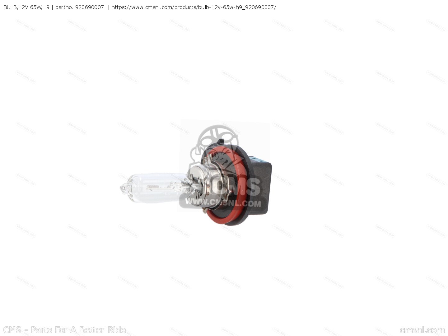 BULB,12V 65W,H9 for ZX1000E9F NINJA ZX10R 2009 USA - order at CMSNL