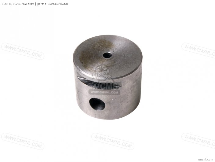 Honda BUSHB,BEARING15MM 23932246000