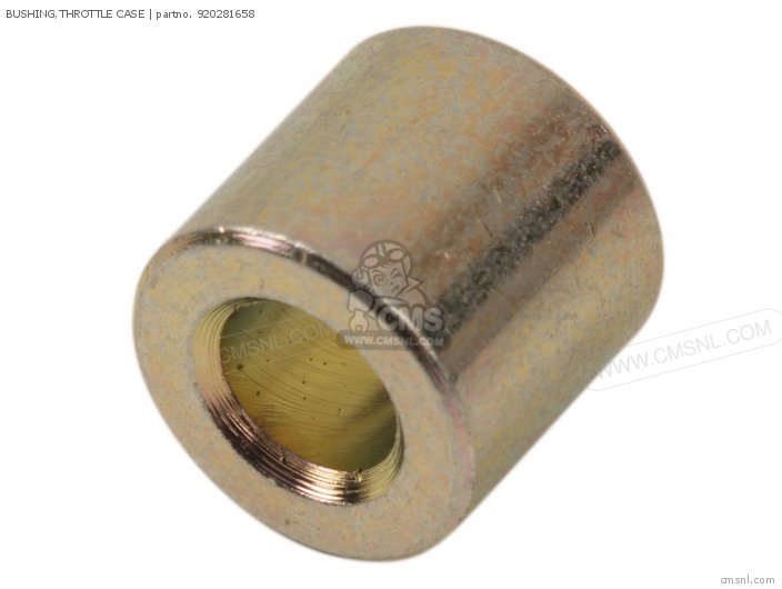 BUSHING,THROTTLE CASE BUSHING,THROTTLE CASE