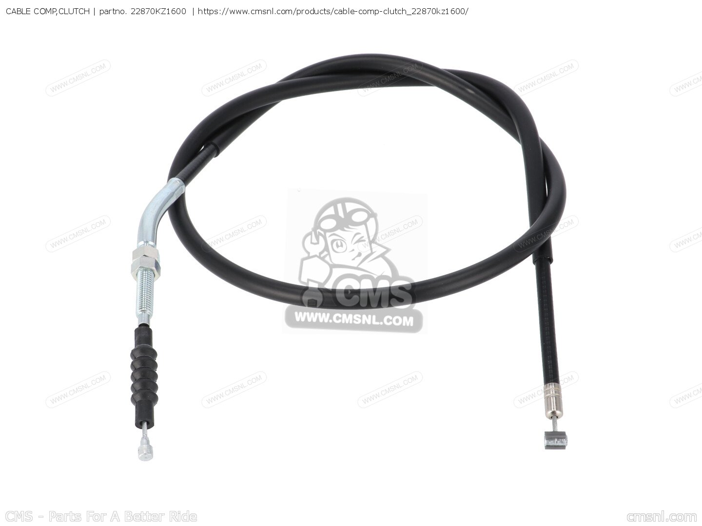 こじこじ Amazon.com: cycwer 7x Engine Timing Chain Kit for F30 F23