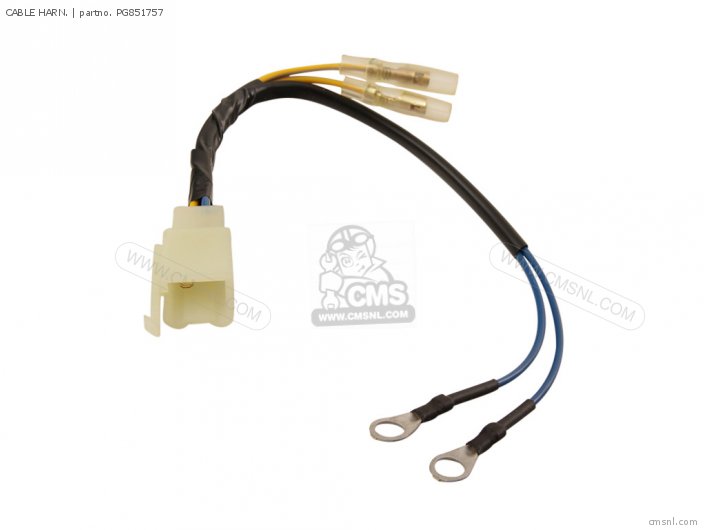 Piaggio Group CABLE HARN. PG851757