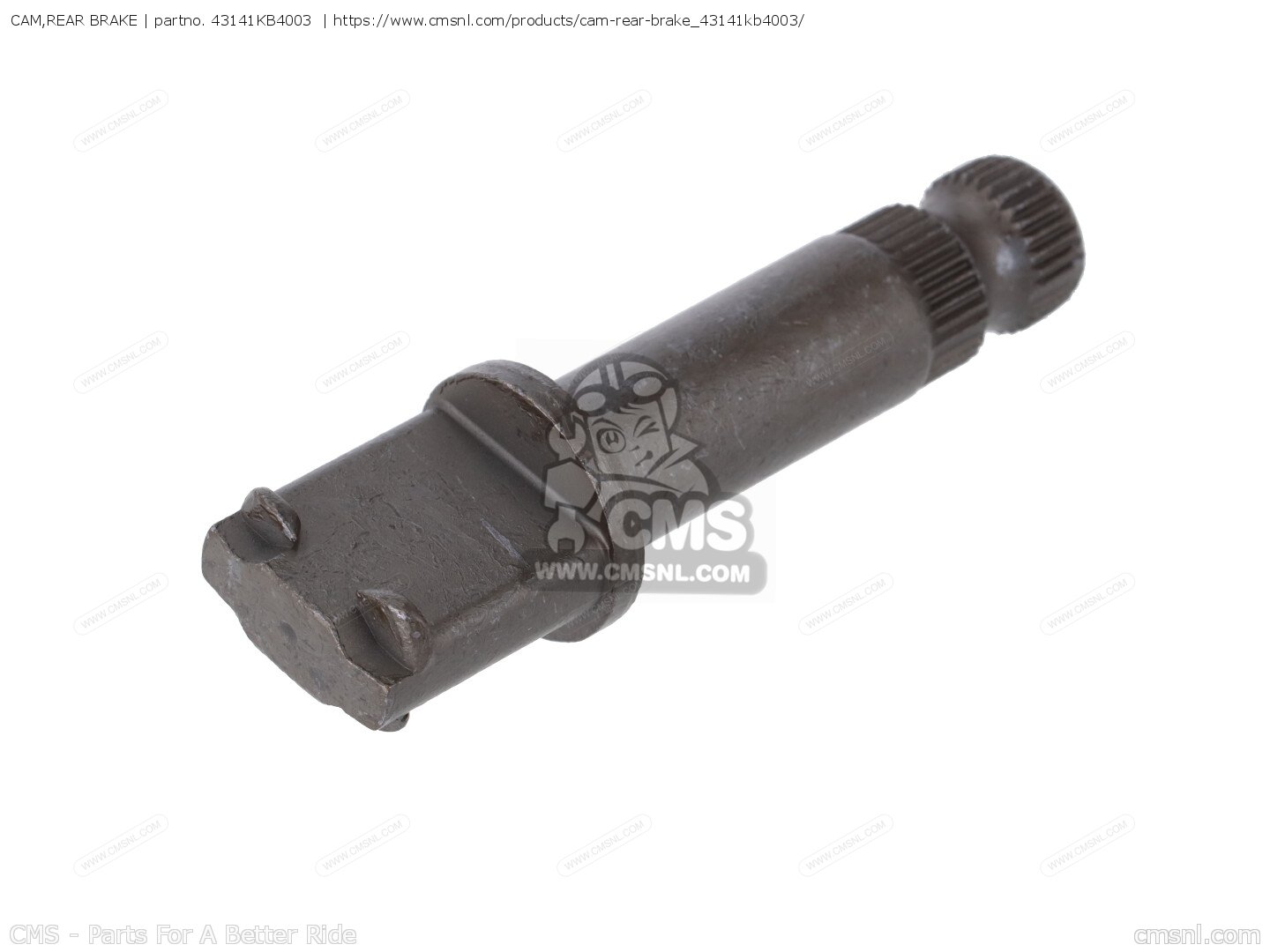 REAR BRAKE SHOES WITH SPRINGS TO FIT HONDA SH125i 2008 REAR BRAKE SHOES WITH SPRINGS TO FIT HONDA SH125i 2008