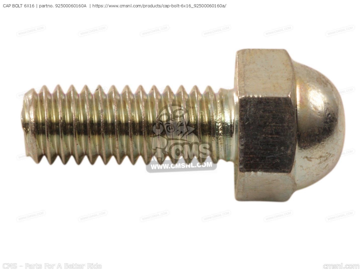 CAP BOLT 6X16 for NV400C STEED 1988 (J) JAPAN NC26100 order at CMSNL
