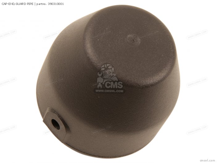 Kawasaki CAP-END,GUARD PIPE 390310001