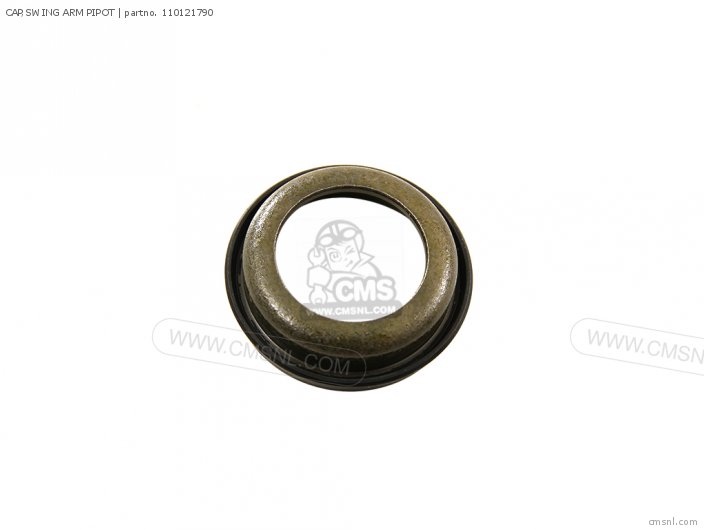 Kawasaki CAP,SWING ARM PIPOT 110121790