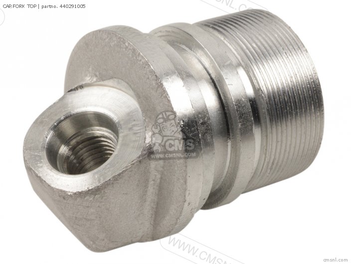 CAP,FORK TOP for 190197 order at CMSNL