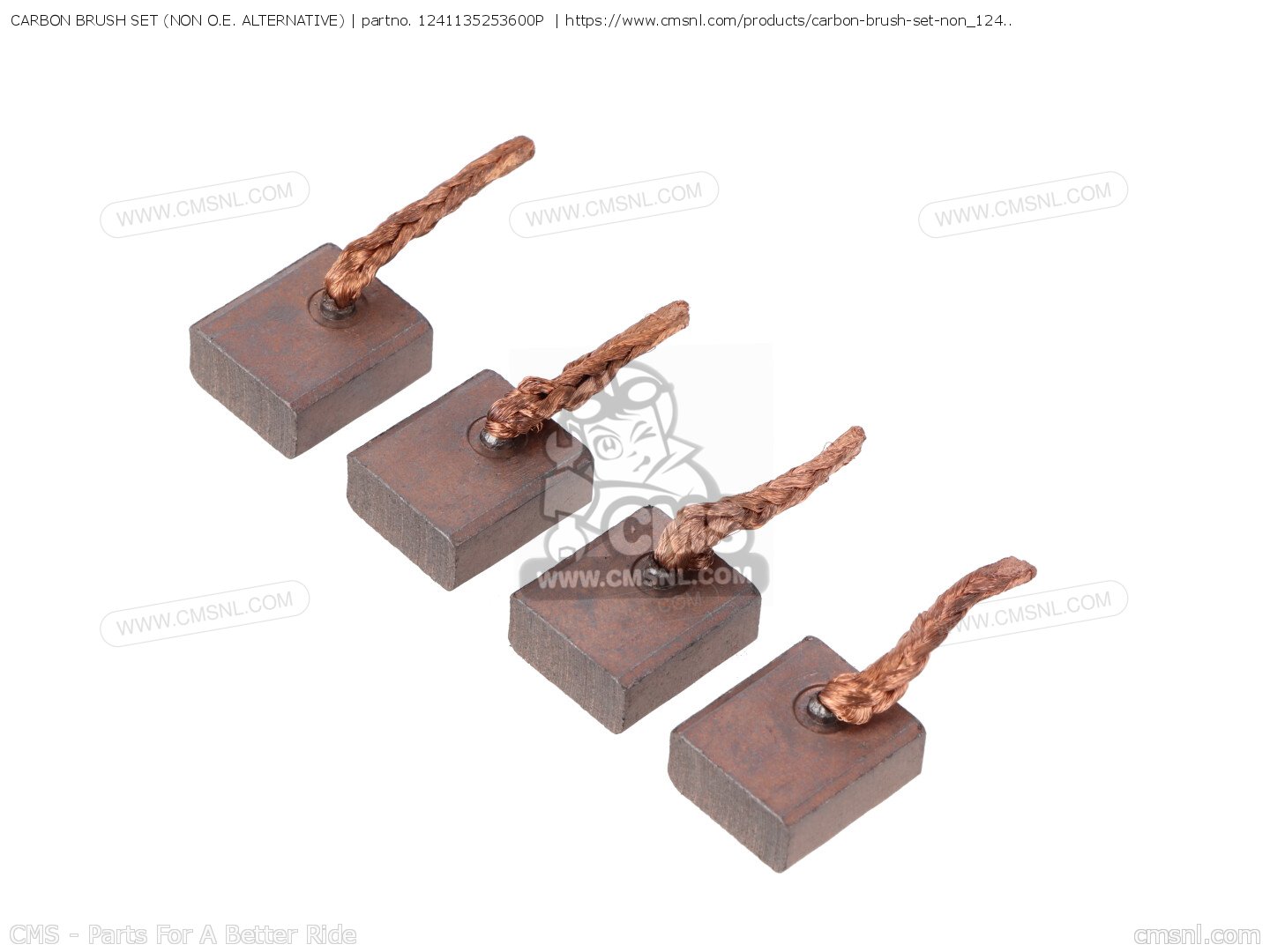 1241135253600P Carbon Brush Set (non O.e. Alternative) Alternative