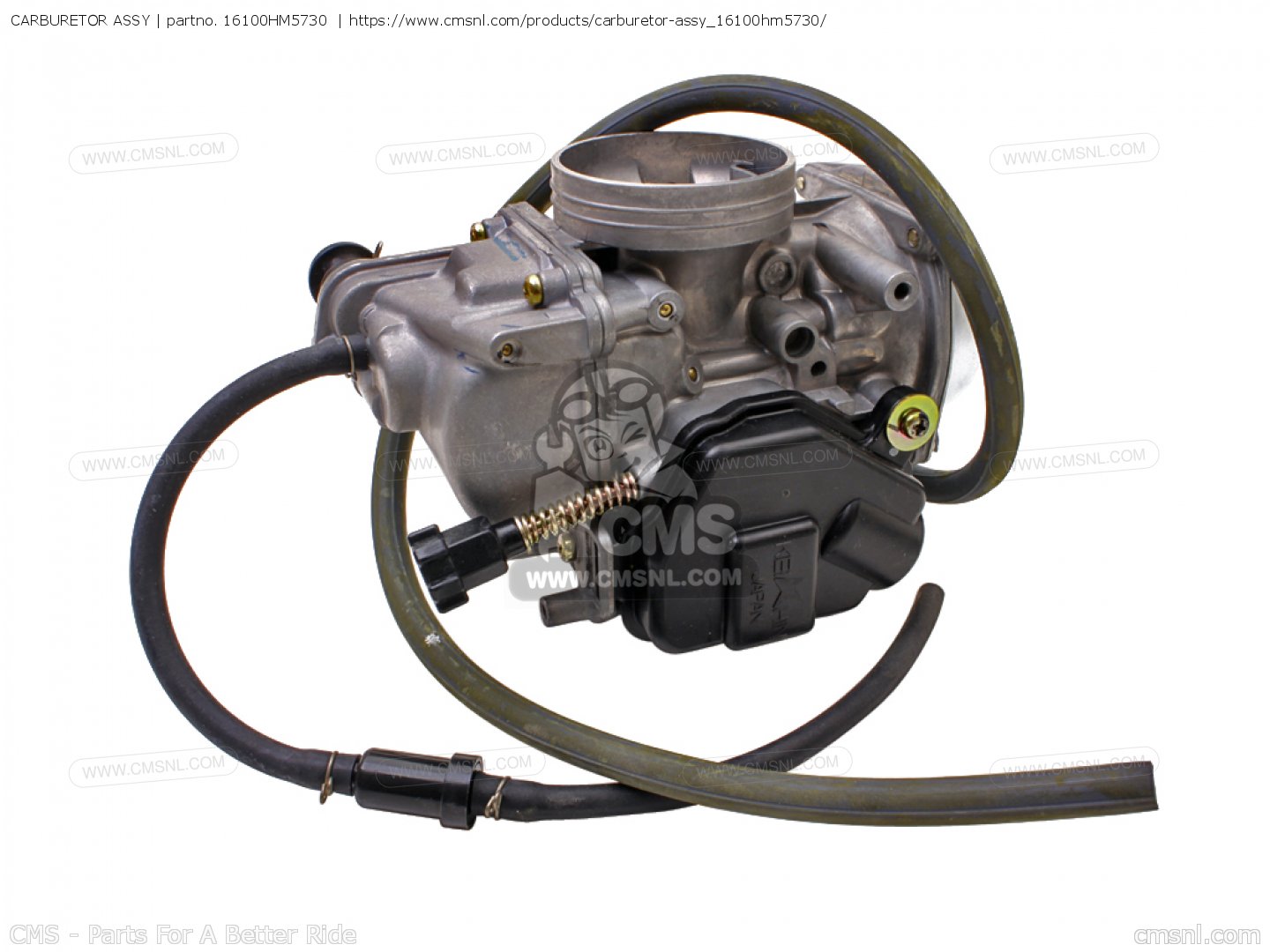 CARBURETOR ASSY for TRX300 FOURTRAX 300 1995 (S) USA order at CMSNL