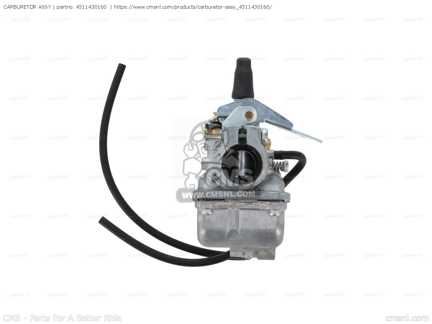 CARBURETOR ASSY for Yamaha - order at CMSNL
