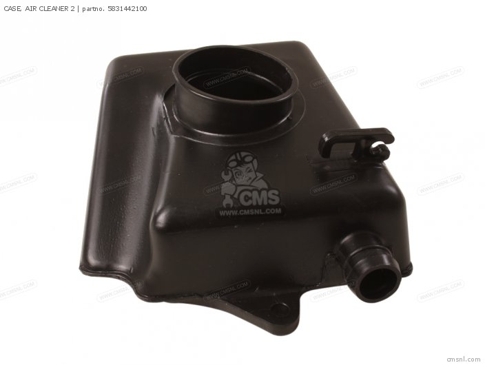 CASE, AIR CLEANER 2 CASE, AIR CLEANER 2