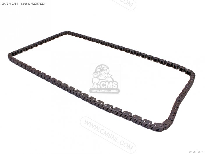 Kawasaki CHAIN,CAM 920571234