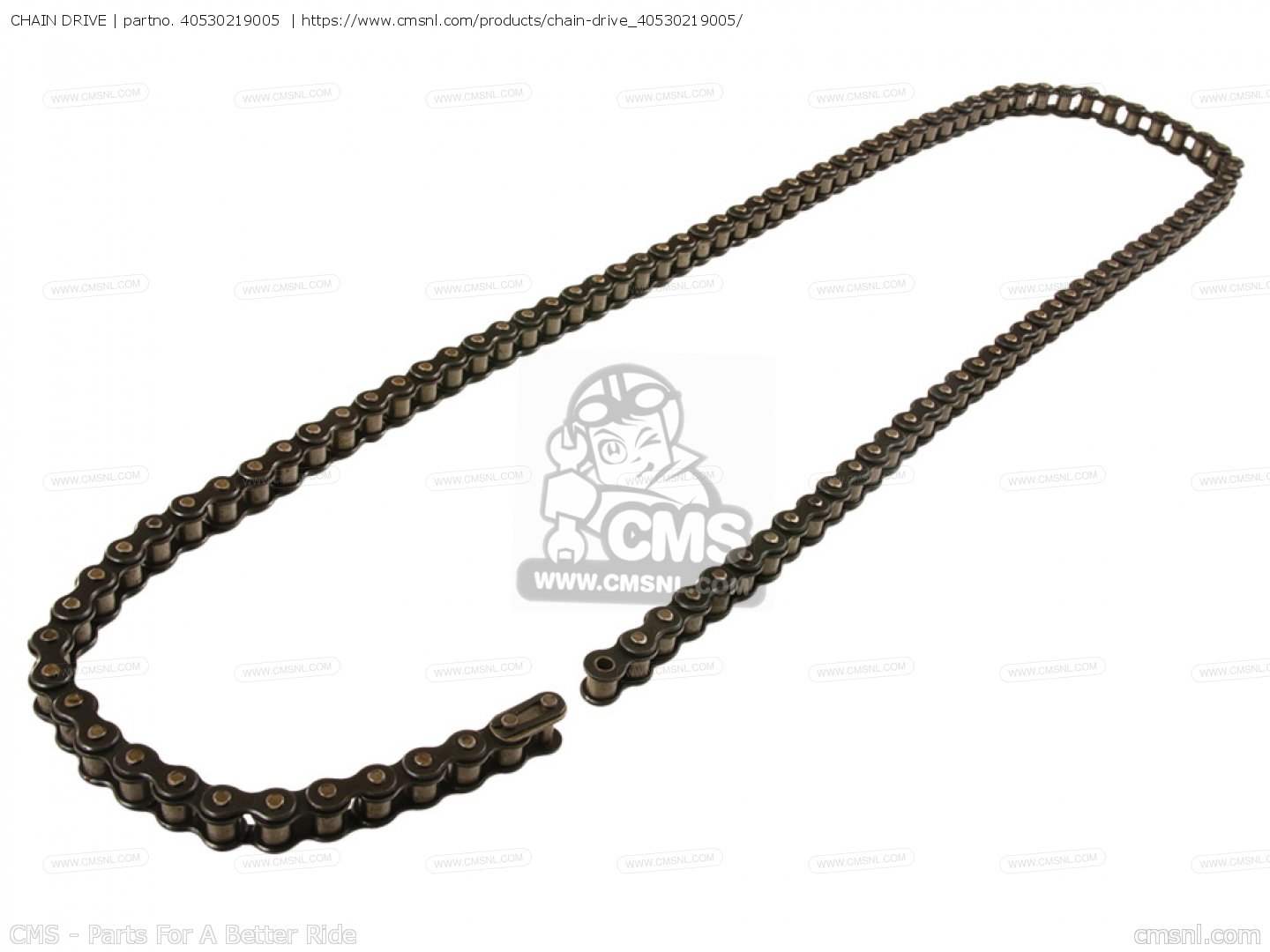 chain drive pdf basics chain drive pdf basics