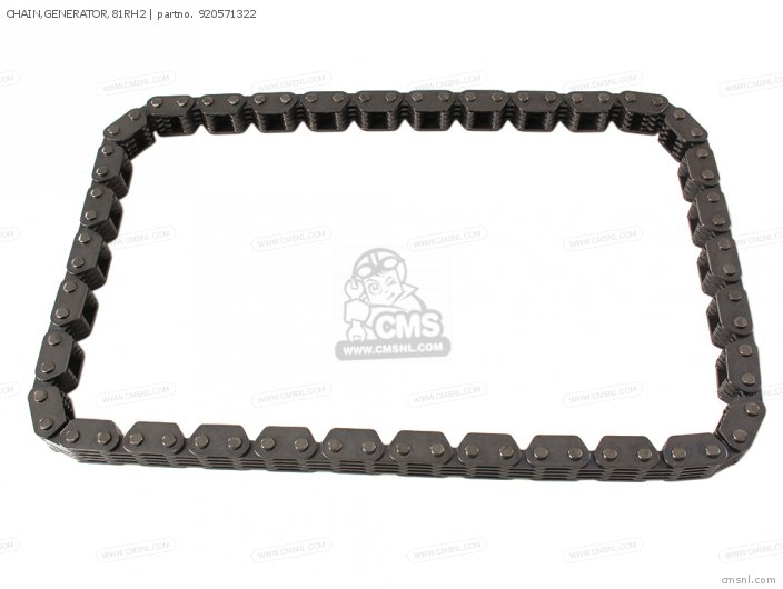 Kawasaki CHAIN,GENERATOR,81RH2 920571322