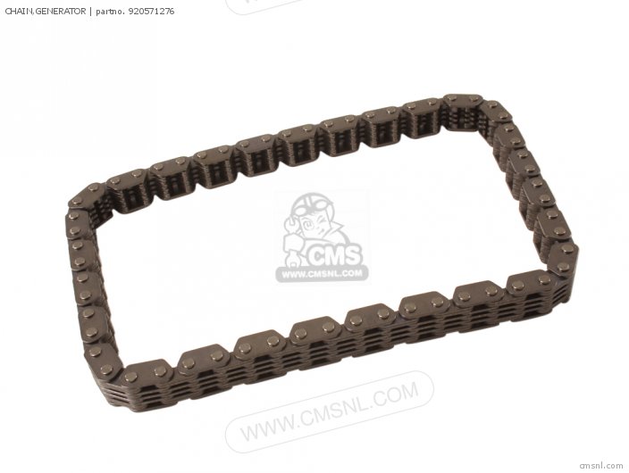 Kawasaki CHAIN,GENERATOR 920571276