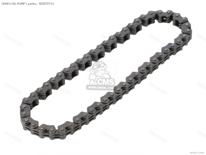 Kawasaki CHAIN,OIL PUMP 920573710