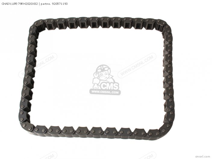 Kawasaki CHAIN,UPP,79RH2020X82 920571193