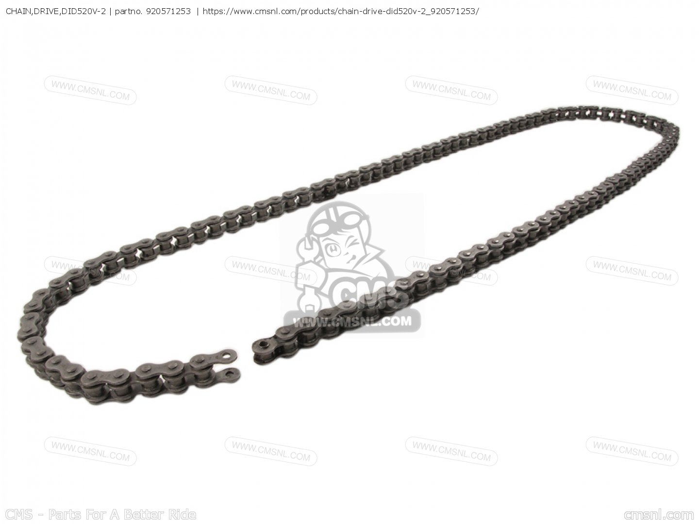 920571253 Chain,drive,did520v2x Kawasaki buy the 920571253 at CMSNL
