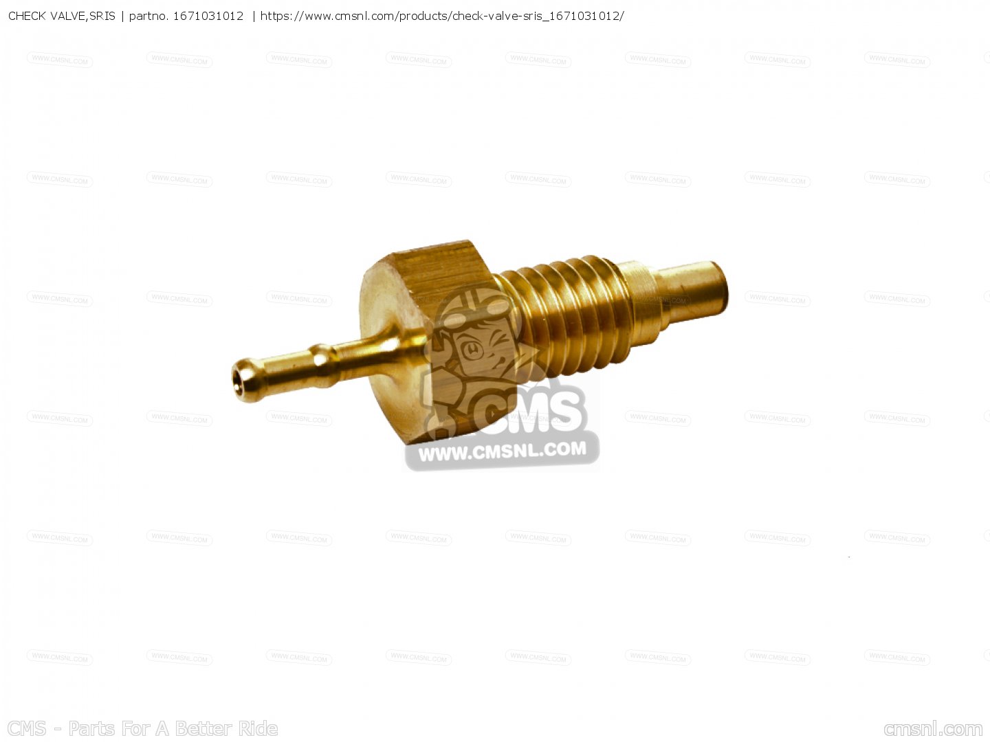 CHECK VALVE,SRIS for Suzuki - order at CMSNL