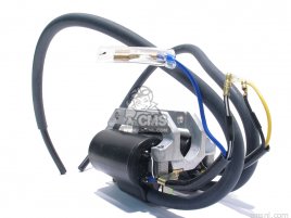 COIL ASSY., IGNITION COIL ASSY., IGNITION