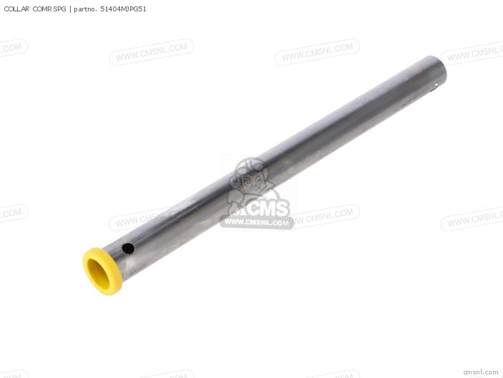 51404MJPG51