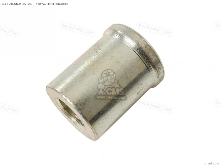 42313KR3000