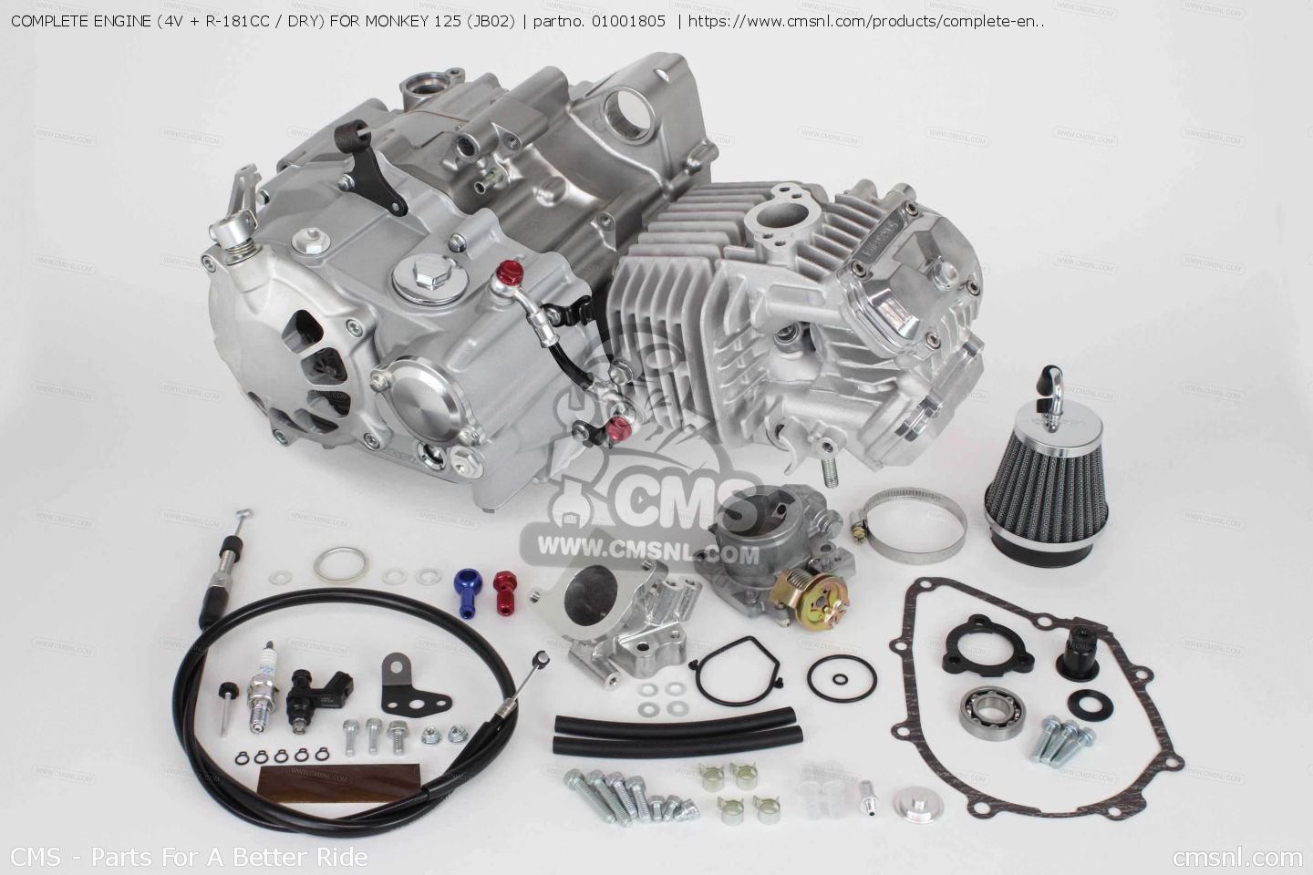 01001805: COMPLETE ENGINE (4V + R-181CC / DRY) FOR MONKEY