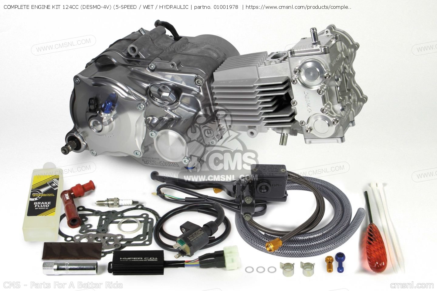 01001978 Complete Engine Kit 124cc (desmo4v) (5speed / Wet / Hydraulic Takegawa buy the 01