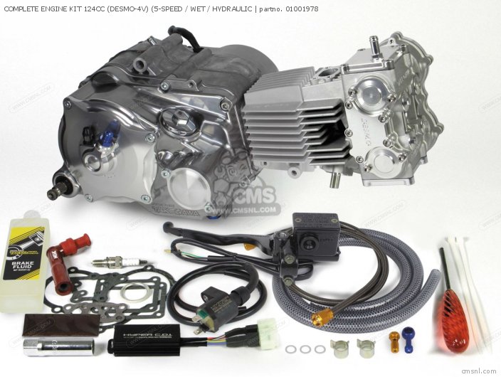 01001978 Complete Engine Kit 124cc (desmo4v) (5speed / Wet