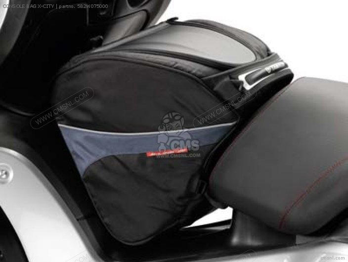 LinQ Lite 2.6 US Gal (10 L) Console Bag 295100985 - Pontoon Boat | Sea-Doo  - USA