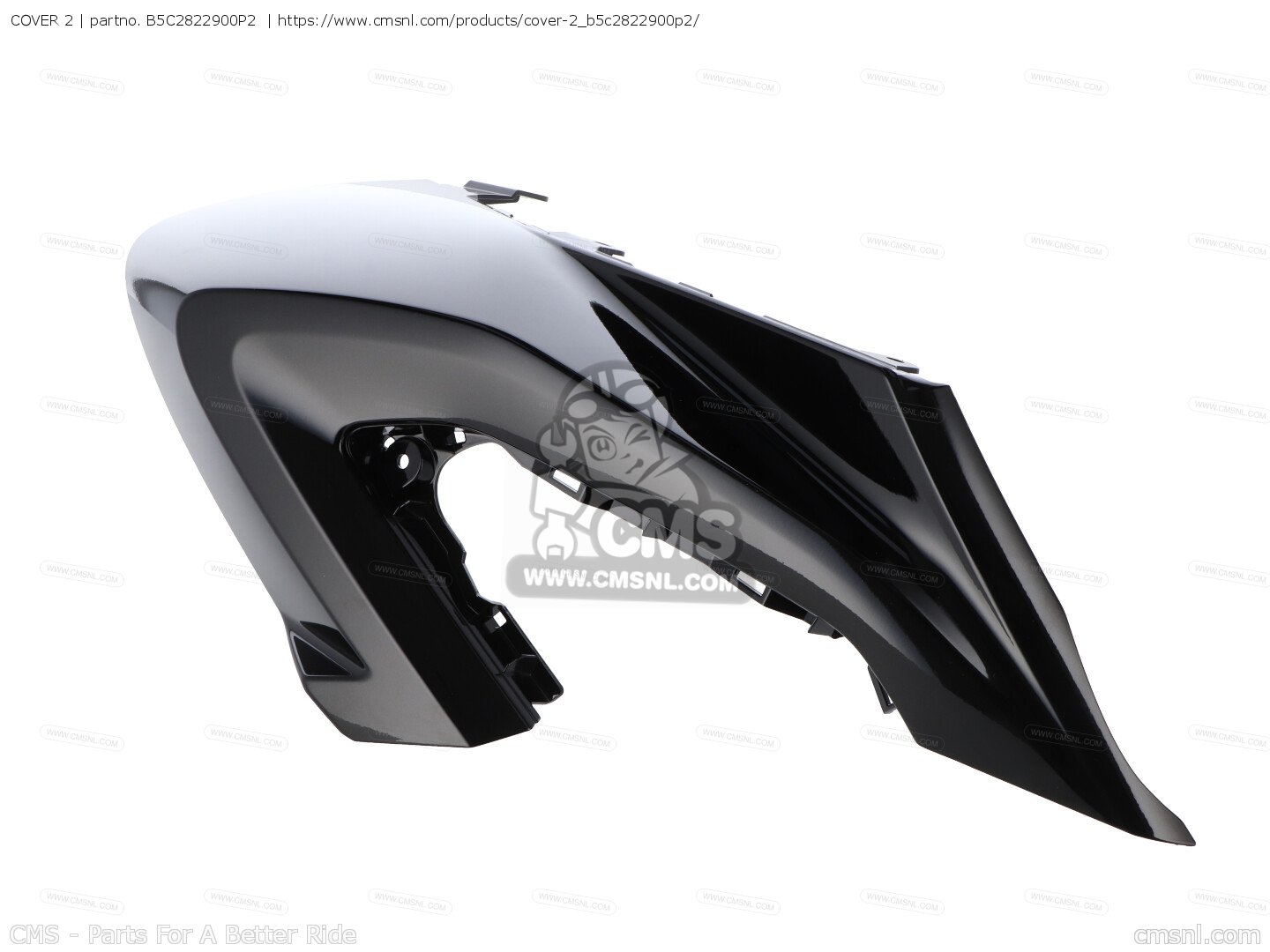 cover-2_bigB5C2822900P2-