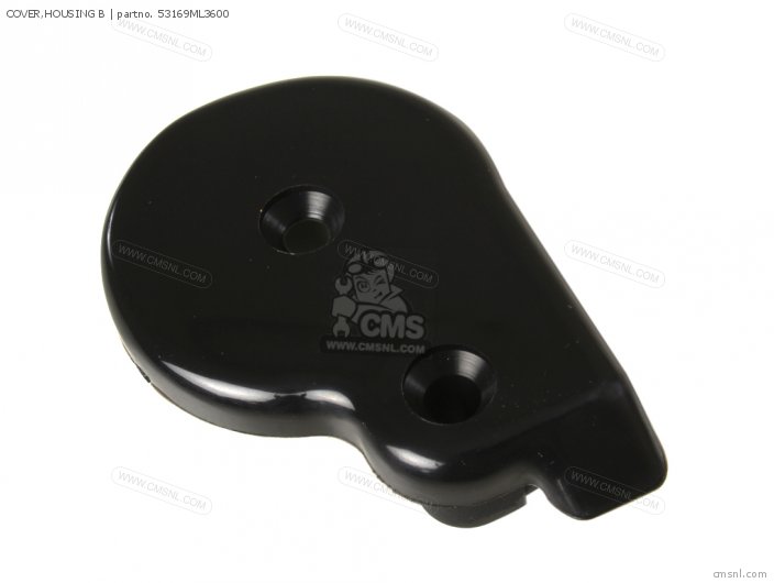 53169ML3600
