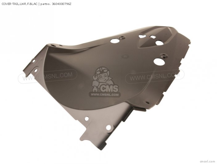 Kawasaki COVER-TAIL,LWR,F.BLAC 3604000796Z