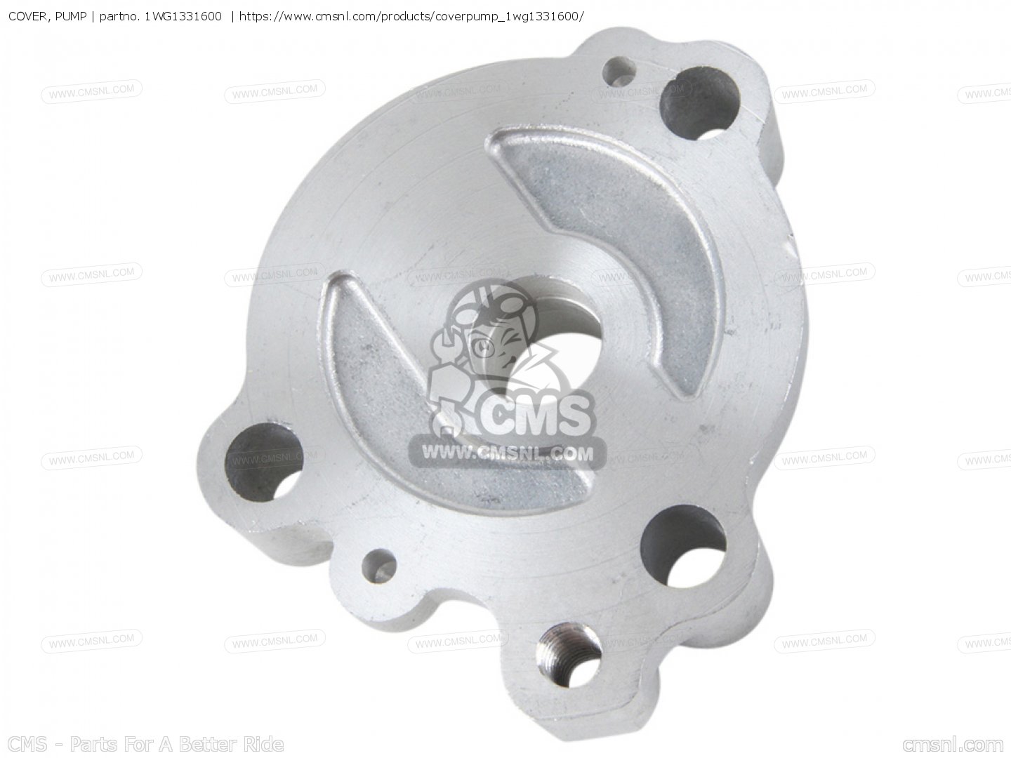 COVER, PUMP for FZR600R 1996 (T) USA order at CMSNL