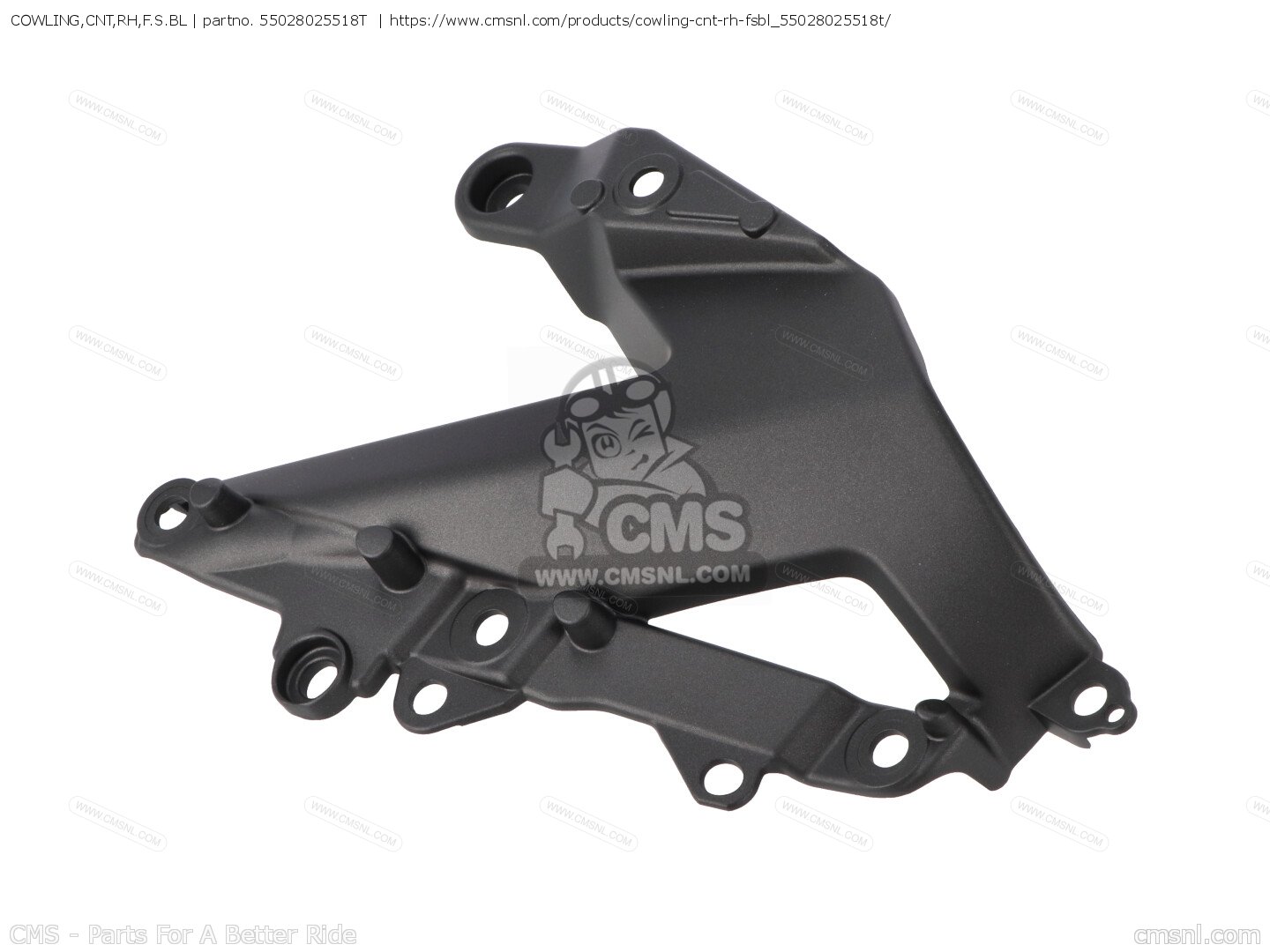 55028025518T: COWLING,CNT,RH,F.S.BL Kawasaki - buy the 55028