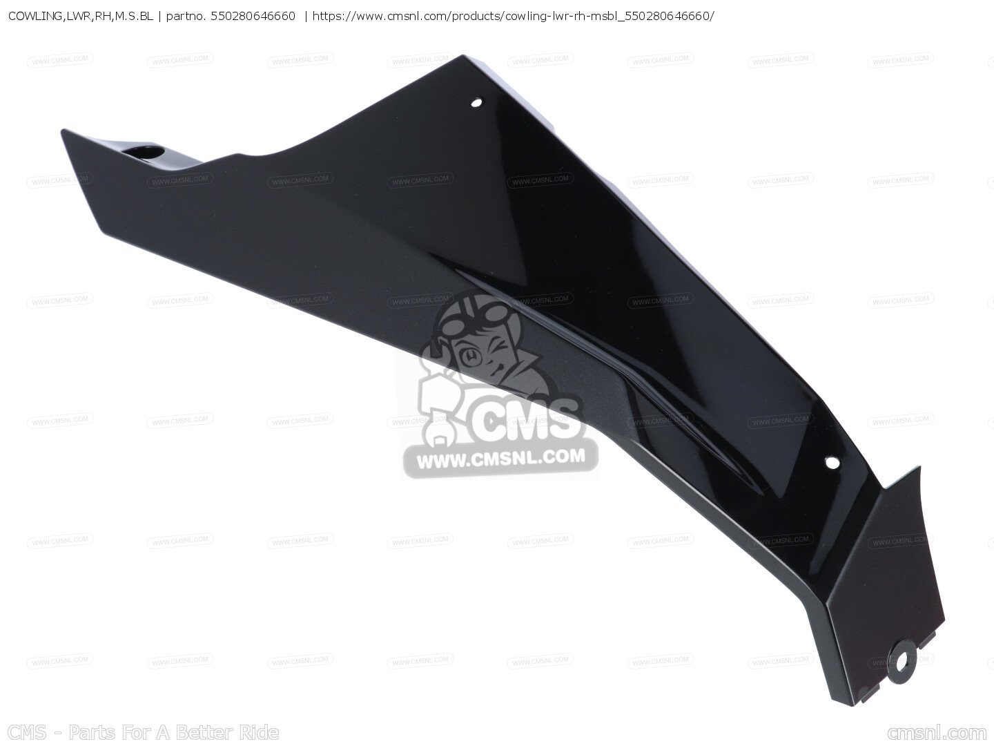 Front black cowling Kawasaki Ninja ZX10 ZX10R ZX1000 2010