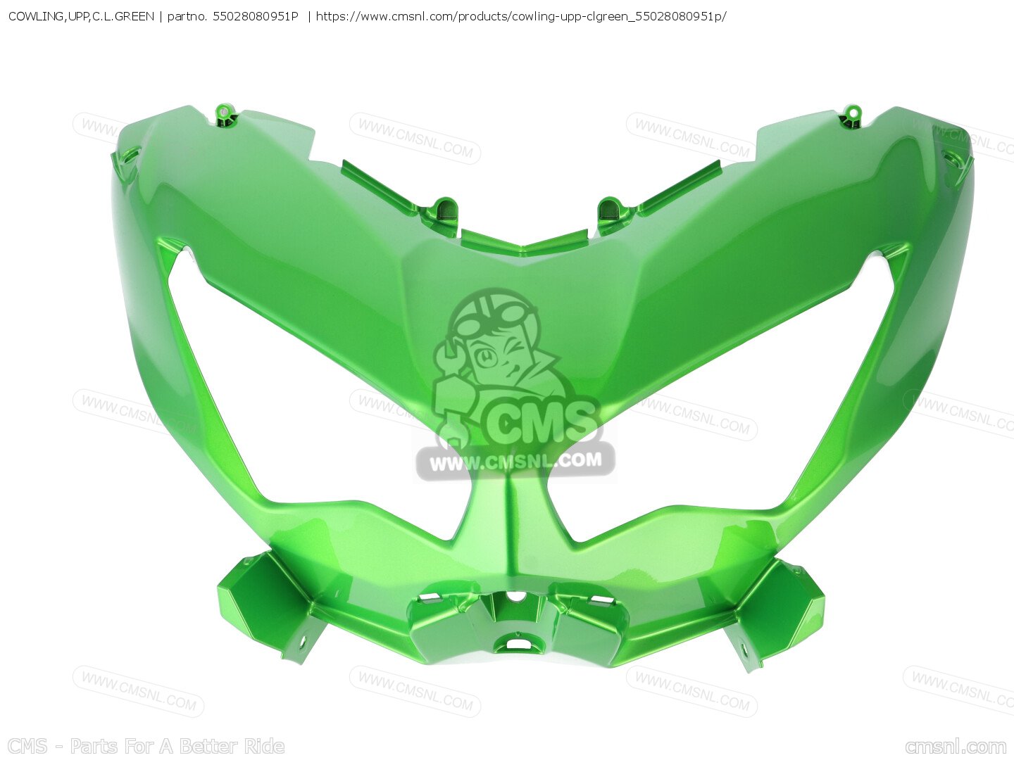 Wind KA009F RACE HIGH WINDSCREEN WRS SMOKED KAWASAKI ZX-10R / RR