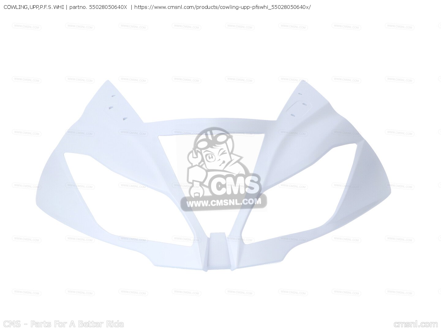 もも様 リクエスト画像全て はっちゃん KAWASAKI NINJA ZX6R ZX636 COWLING,SIDE,LH,RR,M.D.
