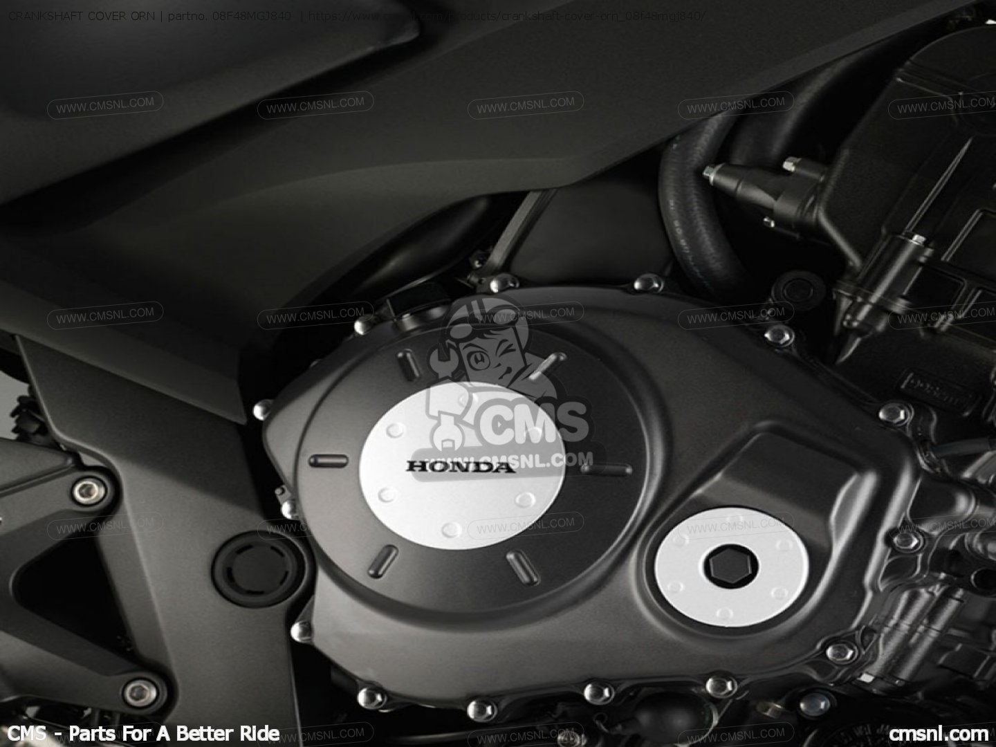 CRANKSHAFT COVER ORN for CBF1000FS 2010 (A) EUROPEAN DIRECT SALES / ABS