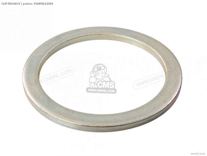 Piaggio Group CUP 58X46X3 PGAP8163094 Piaggio Group CUP 58X46X3 PGAP8163094