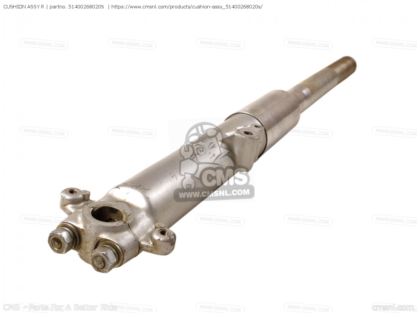 CUSHION ASSY R for CP77 GENERAL EXPORT (142683) order at CMSNL