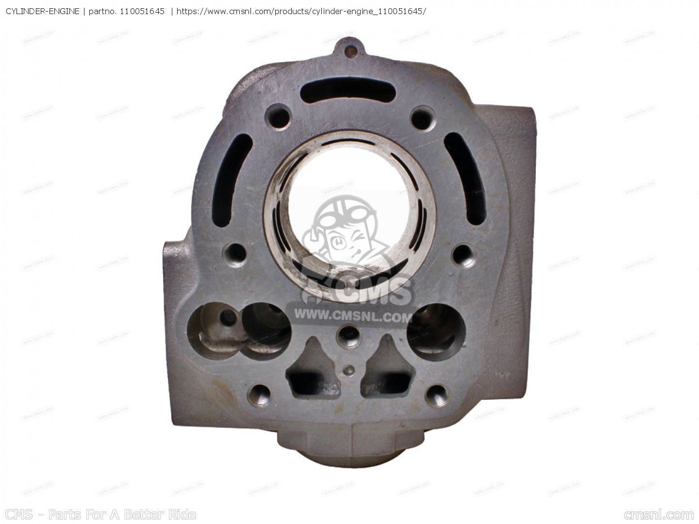CYLINDER-ENGINE for KX125-H2 1991 USA CANADA - order at CMSNL