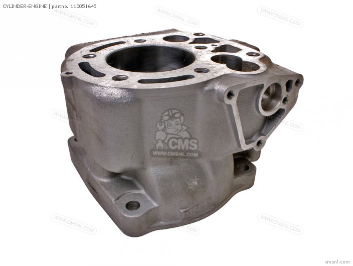 CYLINDER-ENGINE for KX125-H2 1991 USA CANADA - order at CMSNL CYLINDER-ENGINE for KX125-H2 1991 USA CANADA - order at CMSNL